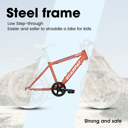 A20215 Kids Bicycle 20 Inch Kids Montain Bike Gear 7 Speed Bike For Boys And Girls