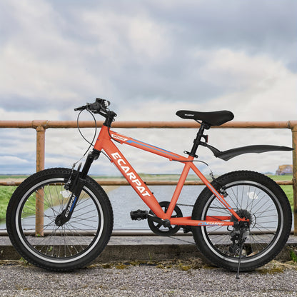 A20215 Kids Bicycle 20 Inch Kids Montain Bike Gear 7 Speed Bike For Boys And Girls